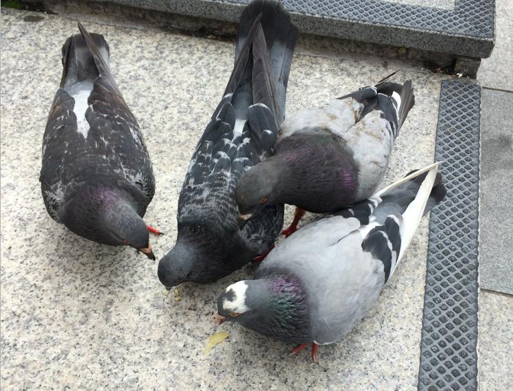 韩国首尔富人区街景视频完整版,韩国首尔街景视频