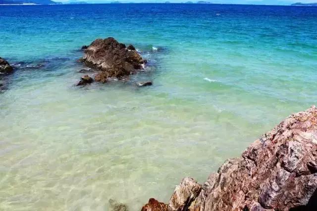 深圳十大打工美女排名表,深圳第一美女简历