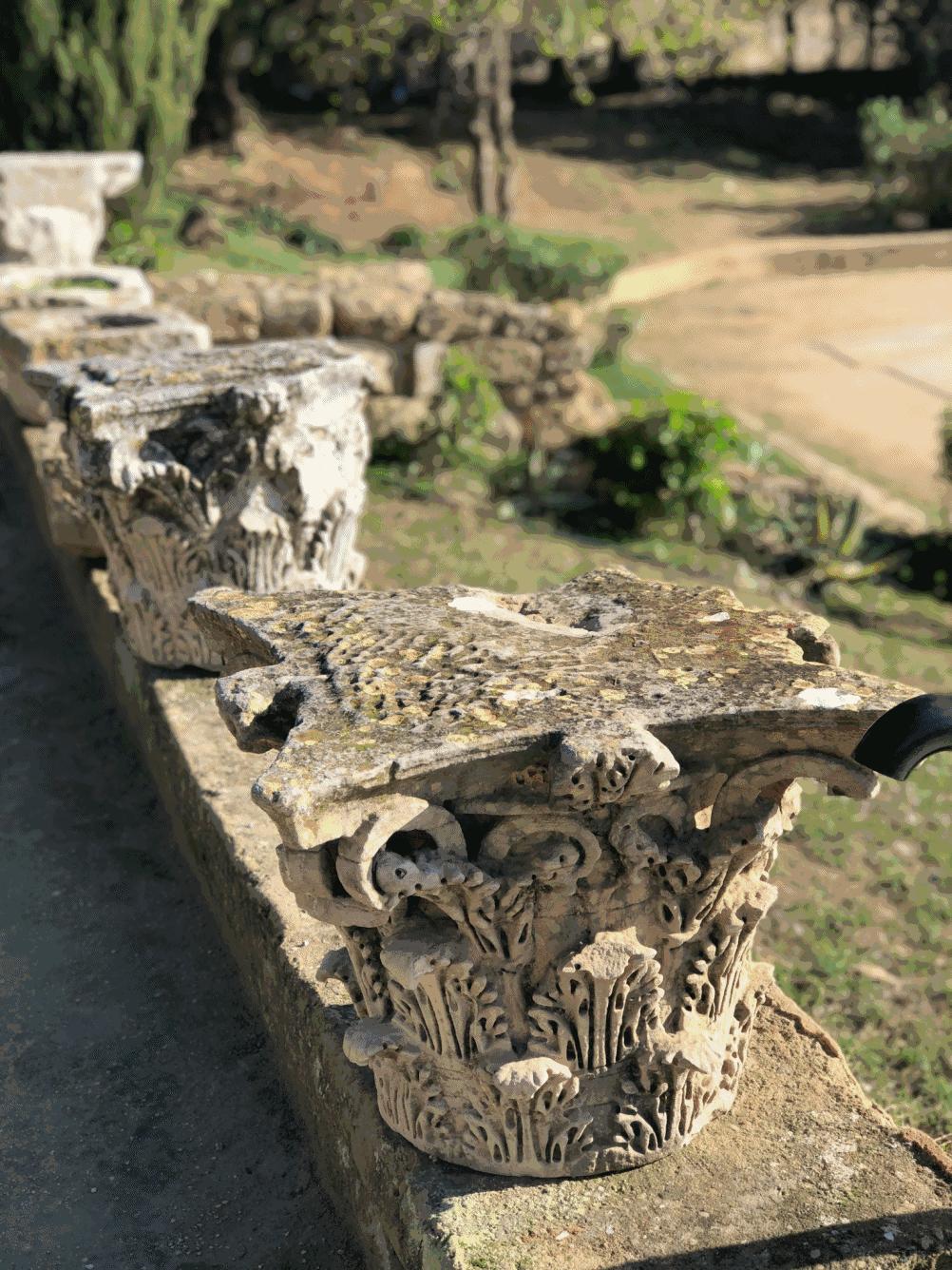 西天取景,西天取景挣大钱