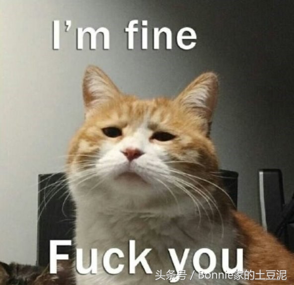 敏感，爆痘，拯救烂脸之乳液篇（实用贴）竟然只要7块钱~