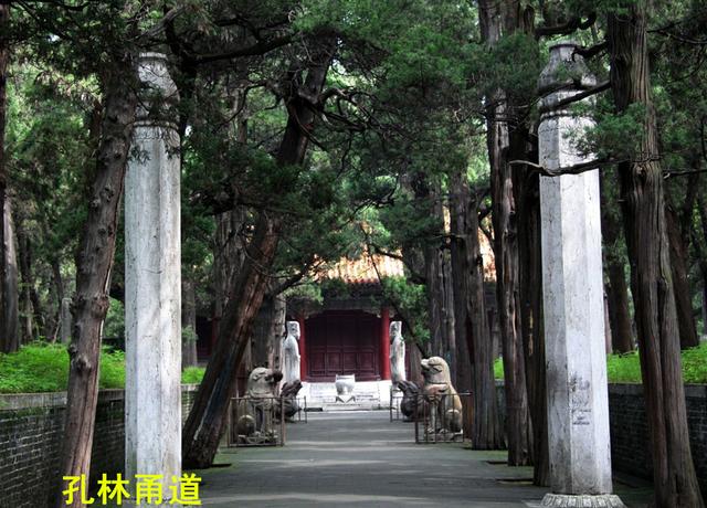 墓道石像生有什么说法,墓道前的石像