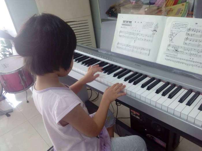 中老年零基础学电子琴技巧大全,电子琴初学者需要知道的小技巧