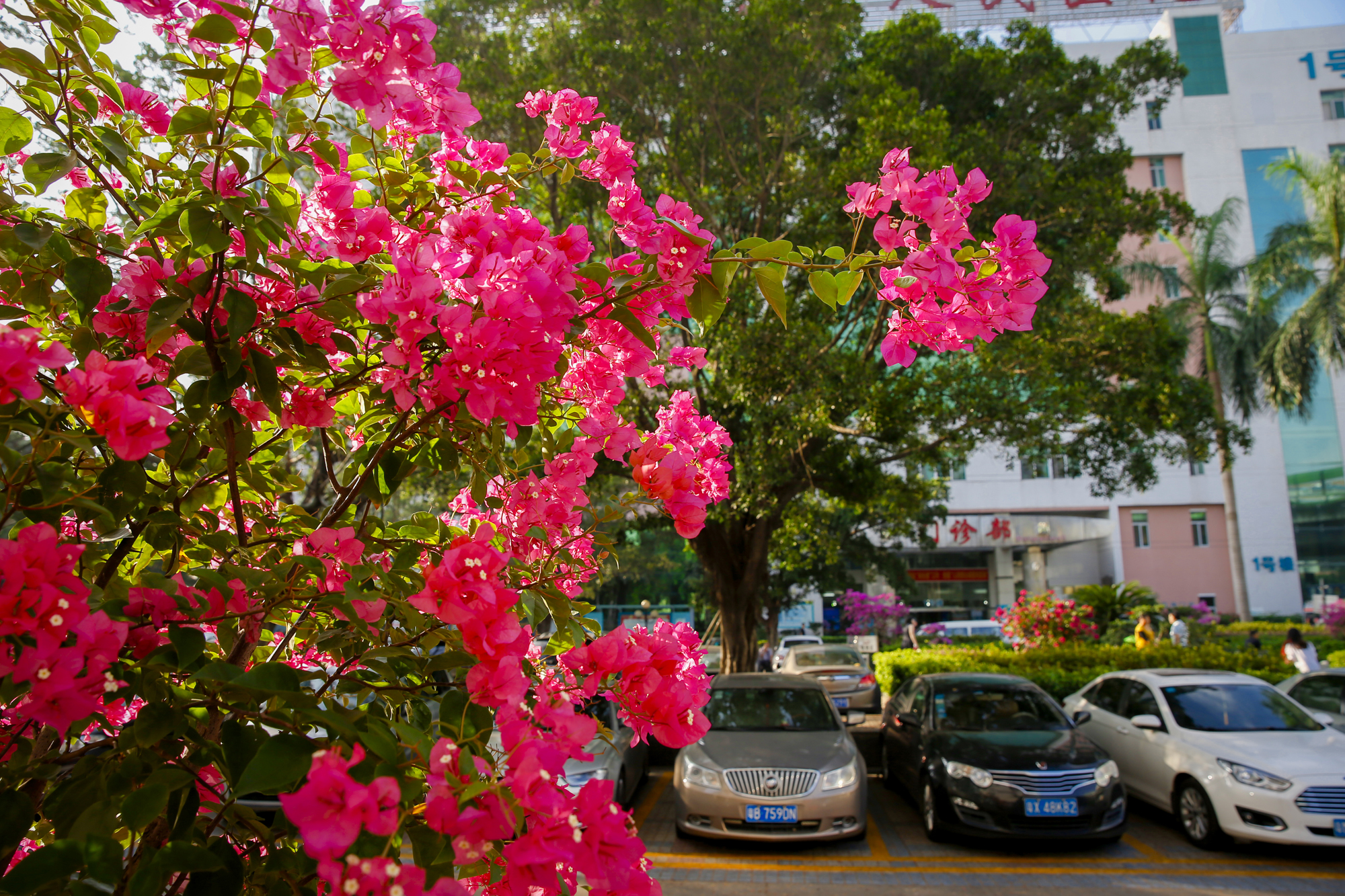 专栏答疑:出现剖宫产瘢痕憩室,还能再生育吗?