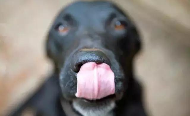 你以为我在逗你玩啊怎么幽默回复,你以为我在逗你玩吗怎么回答