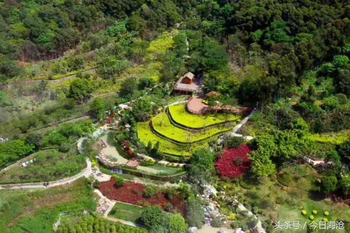 海沧半马时间,海沧半马结束时间