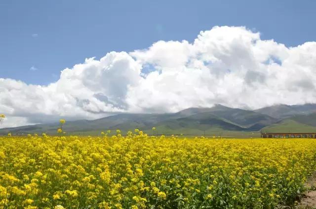 徒步能遇见更好的自己,徒步才能感受到的自然美景