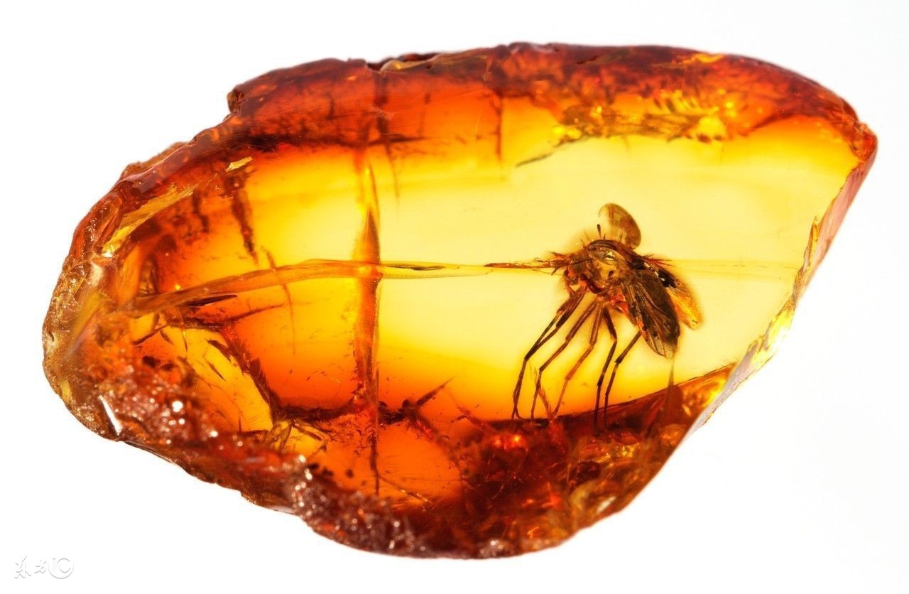 真琥珀蜜蜡跟假琥珀蜜蜡,琥珀蜜蜡跟琥珀的区别