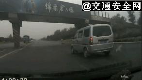 高速撞到动物有什么忌讳,高速行车遇动物怎么办