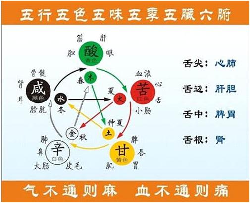 根据出生时间推算人的体质,出生月份与体质的关系