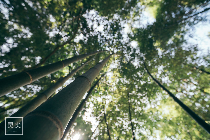 台州玉环三天游攻略,浙江玉环旅游攻略自由行
