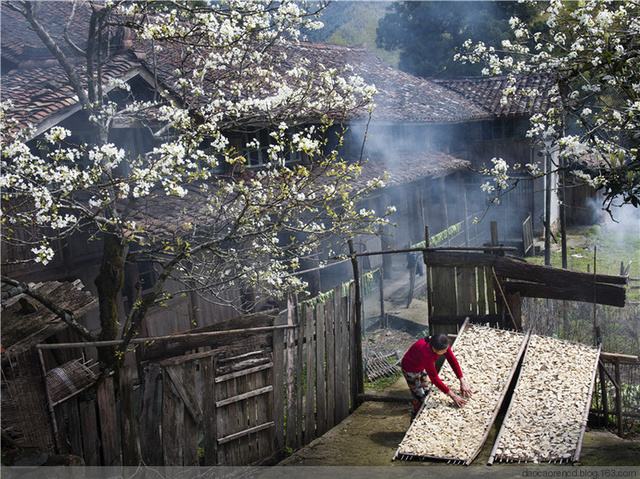 中国传统村落“千村一面”空巢化和旅游化严重，保护成了大难题