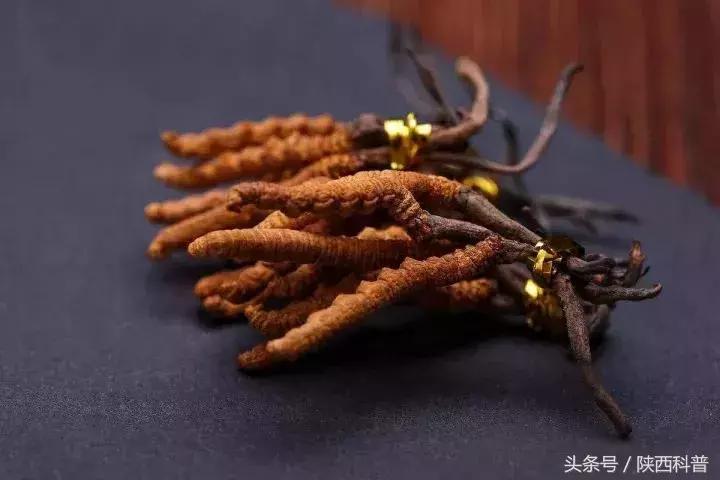 撕开“保健圣品”的美丽外衣之后……