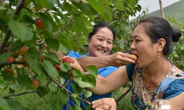 怀孕后再馋也不能吃的食物,怀孕了嘴馋不让吃