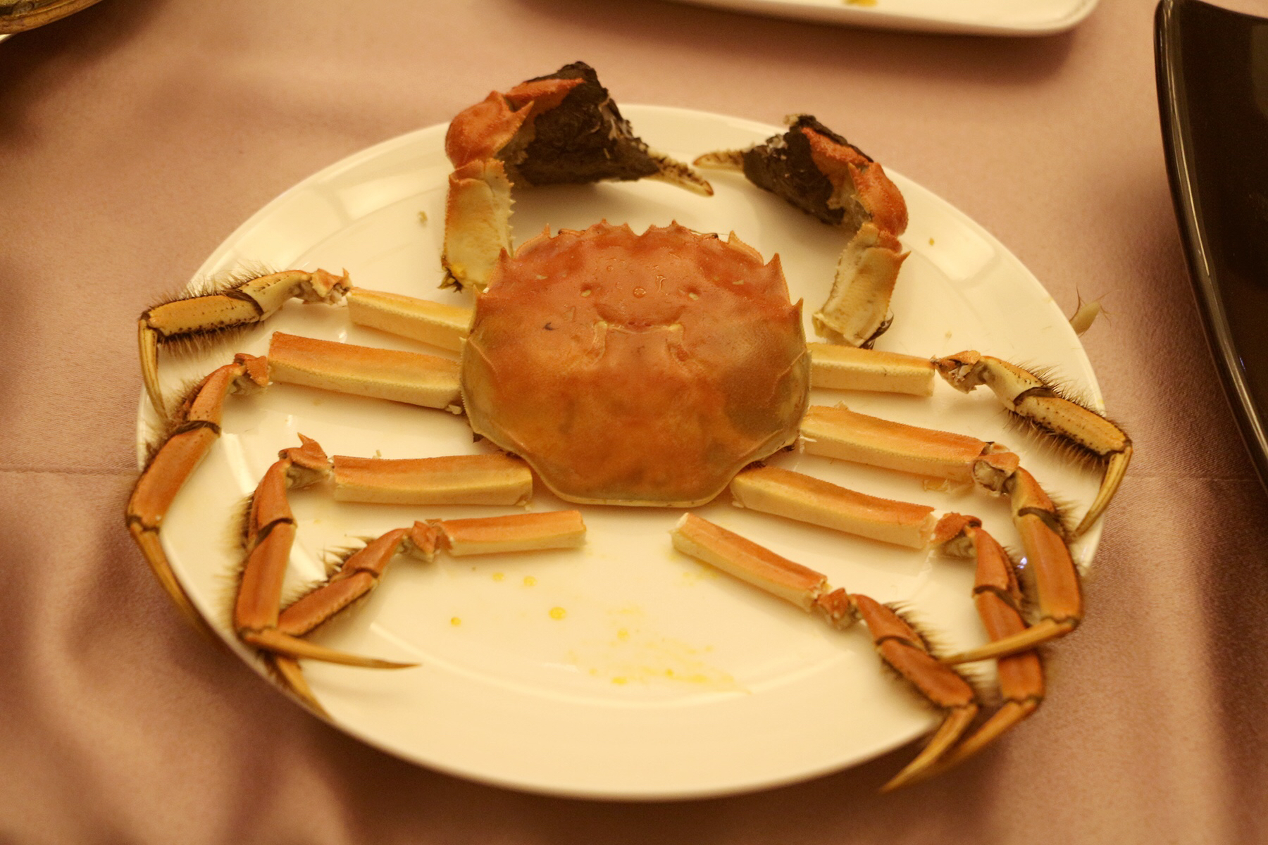 鑻忓窞闃虫緞婀栫編鍛崇壒浜уぇ闂歌煿,鑻忓窞鍚冮槼婢勬箹澶ч椄锜圭殑閰掑簵鎺ㄨ崘