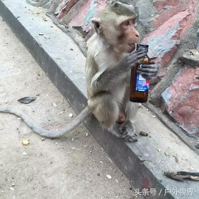 泰国自驾游要办哪些手续,泰国深度自驾线路推荐