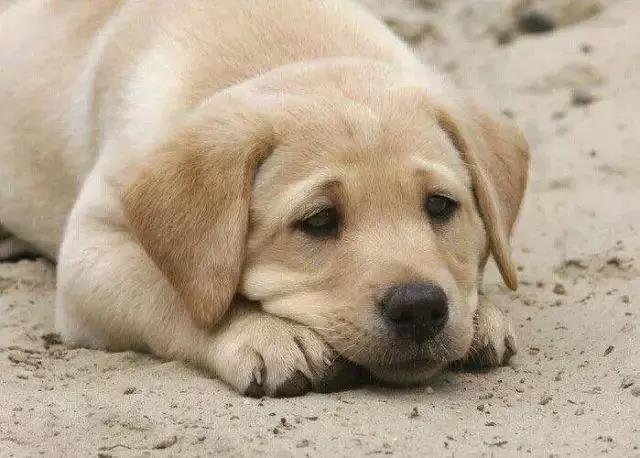 你以为我在逗你玩啊怎么幽默回复,你以为我在逗你玩吗怎么回答