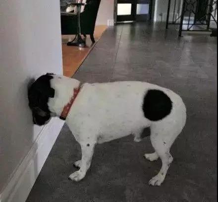 你以为我在逗你玩啊怎么幽默回复,你以为我在逗你玩吗怎么回答