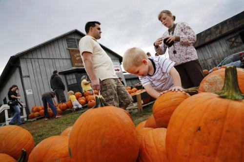 感恩节你知道的有多少,感恩节需要知道的事