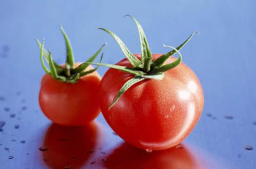 脸大胖的女士如何变美,胖女孩怎样让脸变小