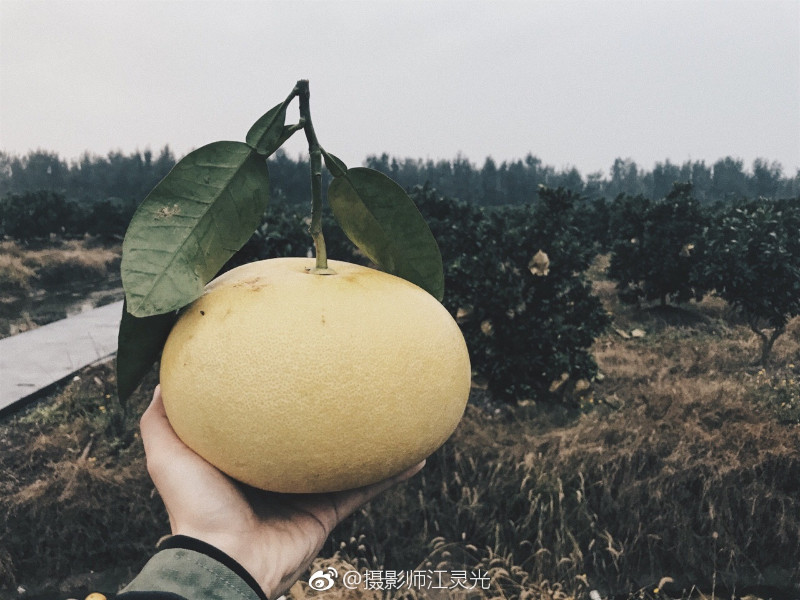 台州玉环三天游攻略,浙江玉环旅游攻略自由行