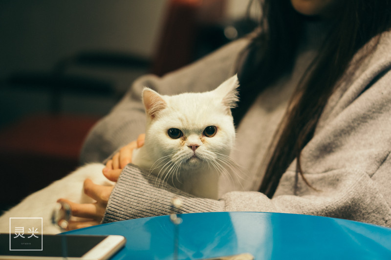 台州玉环三天游攻略,浙江玉环旅游攻略自由行