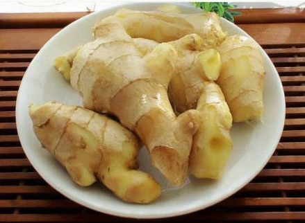 盆栽生姜如何发芽多,生姜发芽了可以种盆栽