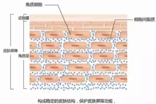 使劲把皮肤上的泥搓出来好不好,身体去角质搓泥最好的方法