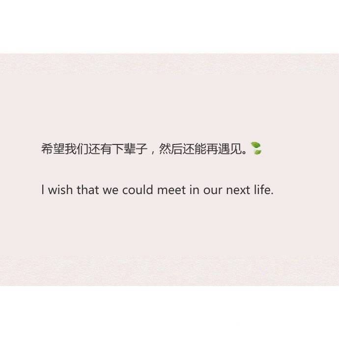 英语土味情话甜到极致的句子,中英情话经典句子