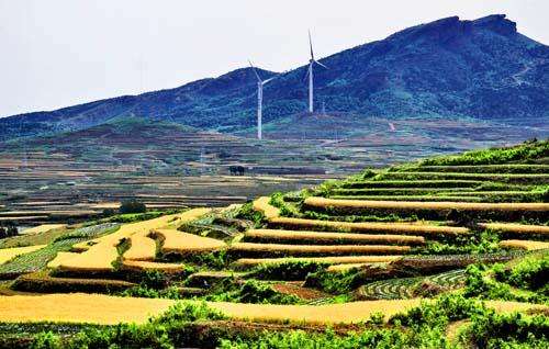 山东诸城城市风光,诸城恐龙世界之最