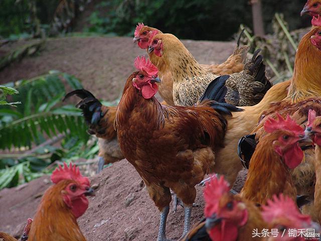 利用业余时间做点小生意,用空闲时间做要做的事