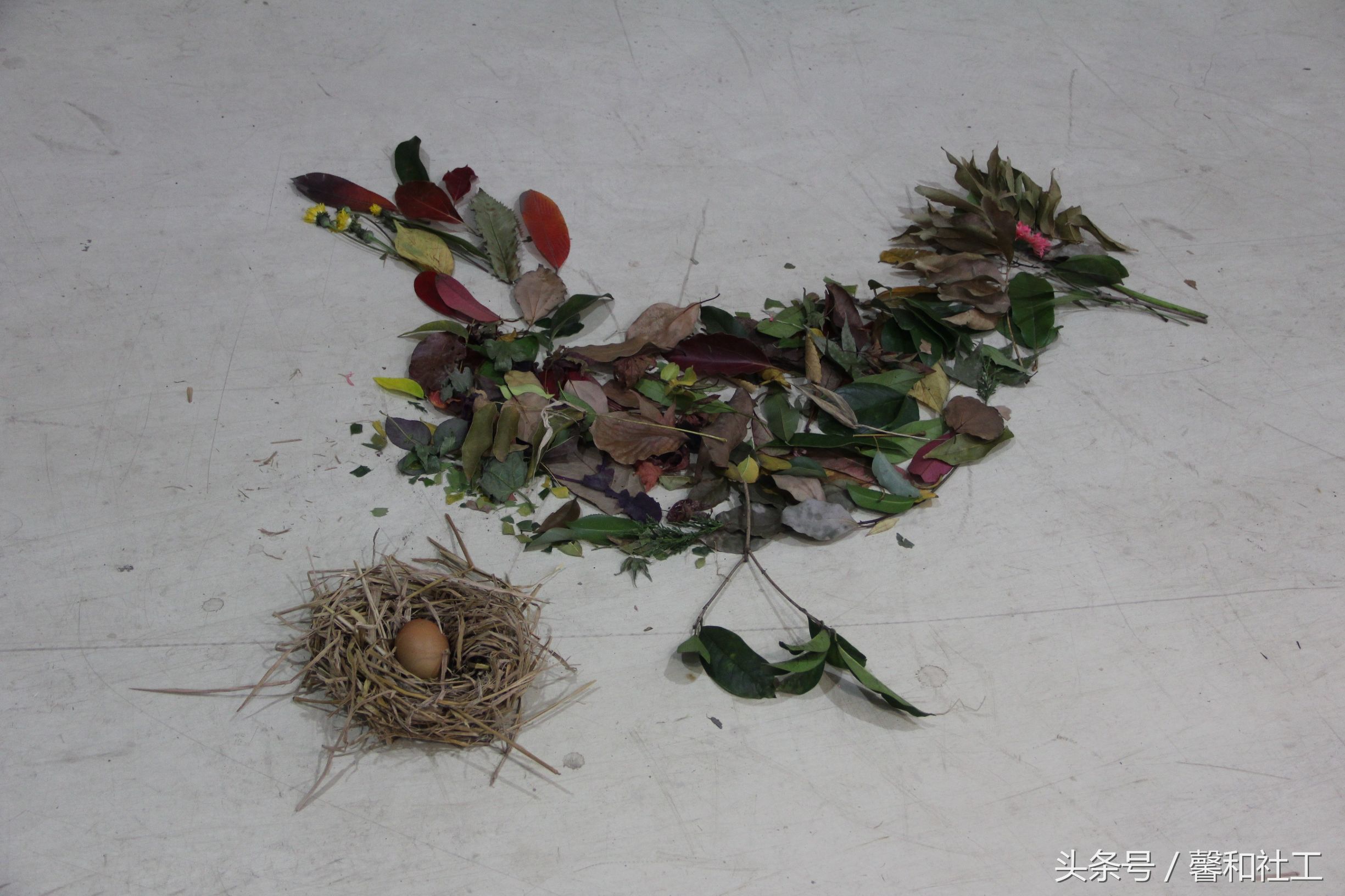 1994——2014年间中国园艺疗法的本土化研究