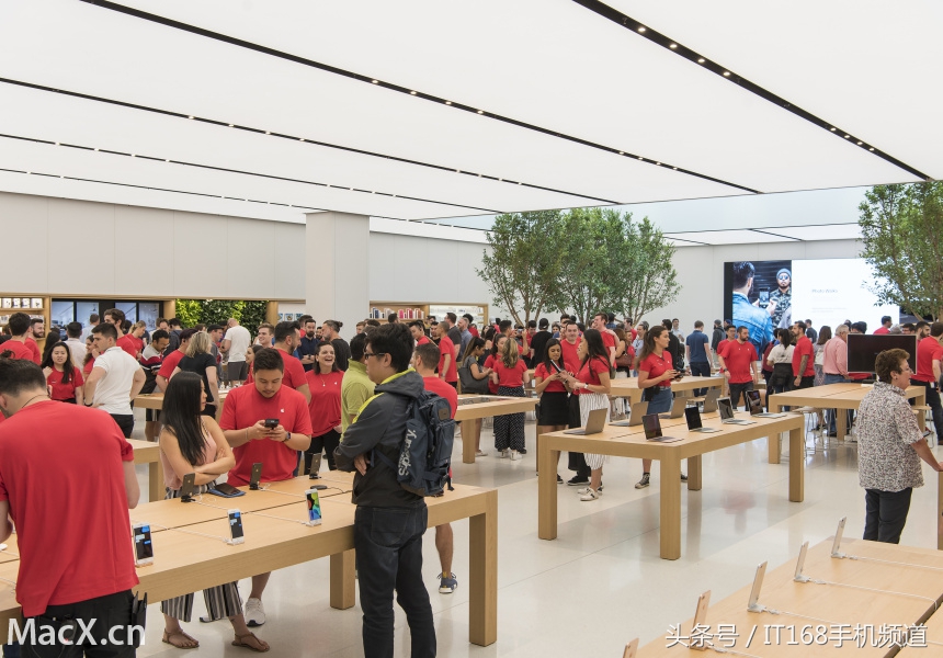 有钱任性系列,有钱任性系列完整版