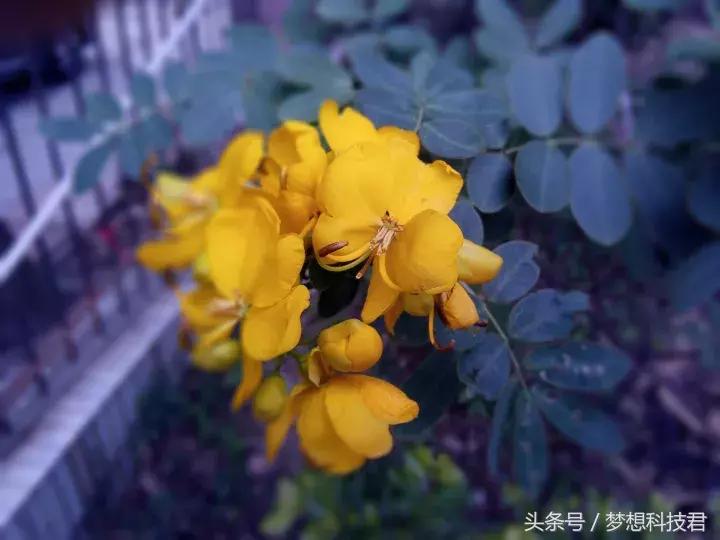 mix2手机现在售价,mix2还值不值得买