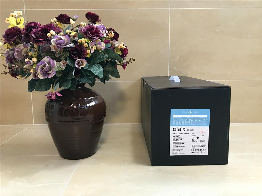 简约也是美,olax智能指纹锁