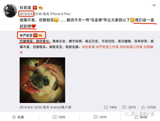 老婆买红薯都能上热搜,严宽为毛还不红?情商低在哪儿都不好混啊