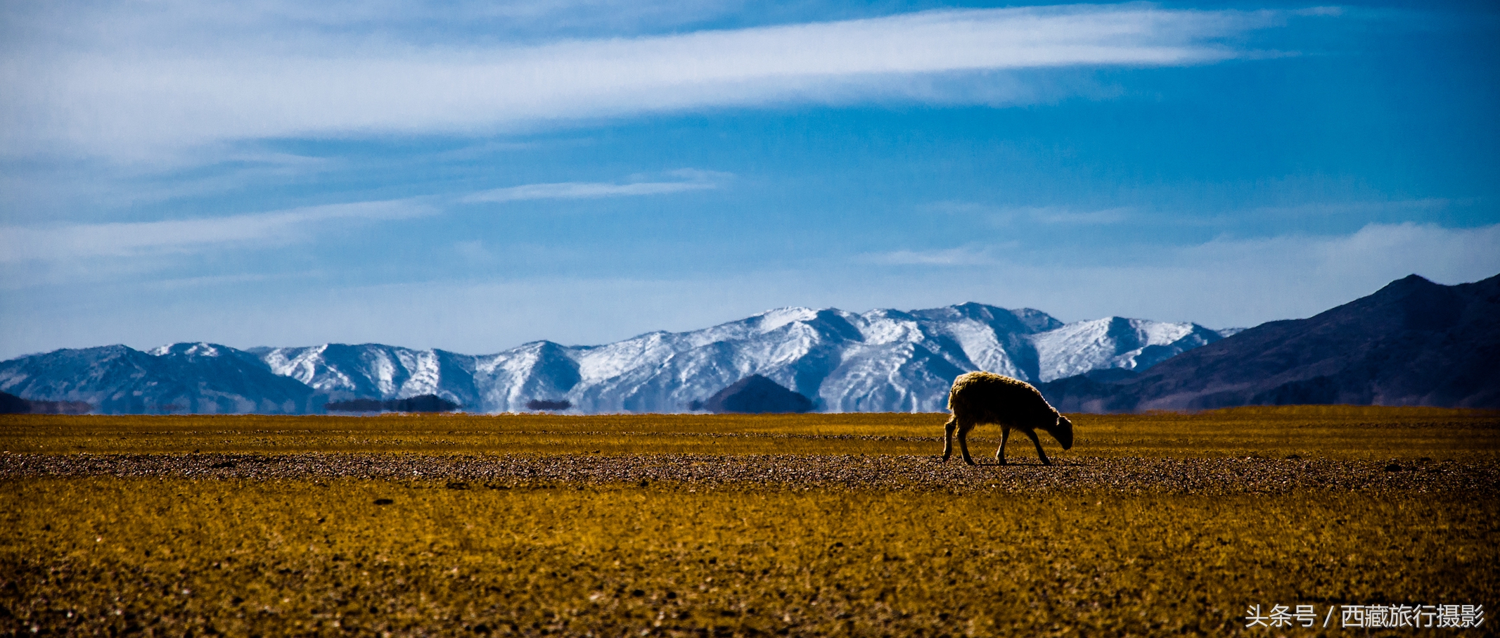 藏西秘境天上阿里,西藏自驾游攻略