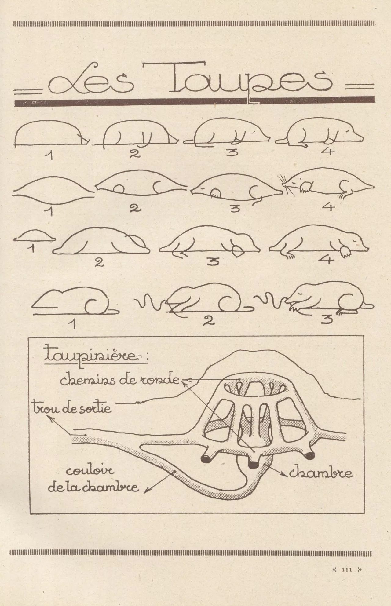 100个超简单的简笔画,2000个超详细简笔画教程