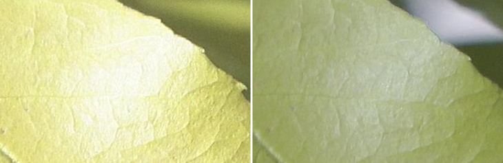 可拍4KHDR视频的手持摄像机1英寸CMOS索尼FDR-AX700摄像机评测