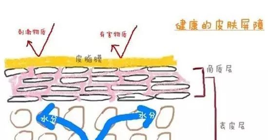 使劲把皮肤上的泥搓出来好不好,身体去角质搓泥最好的方法