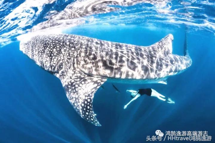 直飞新航线,国内开通直飞延吉的航线