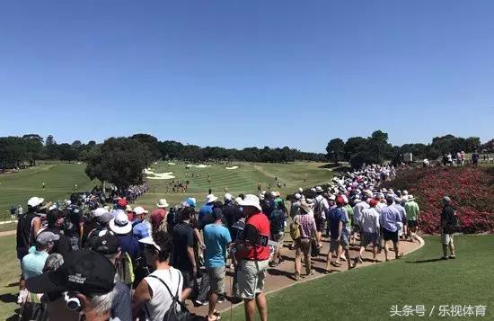 高尔夫直播滨州,高尔夫直播美国赛