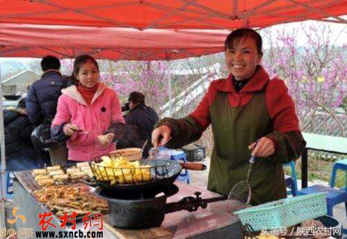 农村人创业的机会有哪些,新手回农村创业有哪些方案