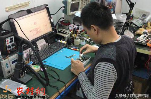 农村人创业的机会有哪些,新手回农村创业有哪些方案