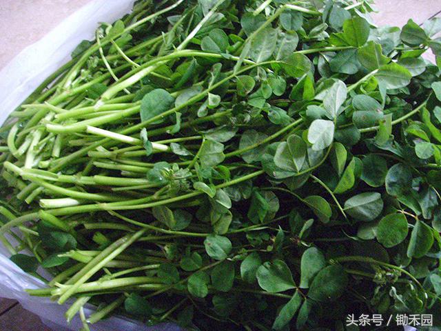 利用业余时间做点小生意,用空闲时间做要做的事