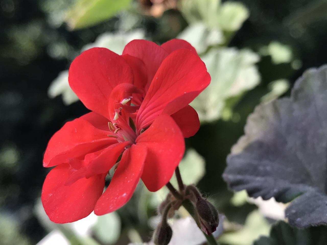 手拍世界作品交流平台,手拍世界摄影网站