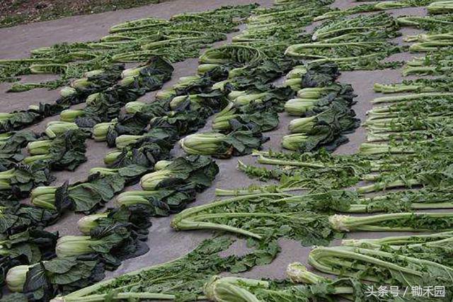 农民工在农村创业门路上干什么活,农民工创业前景