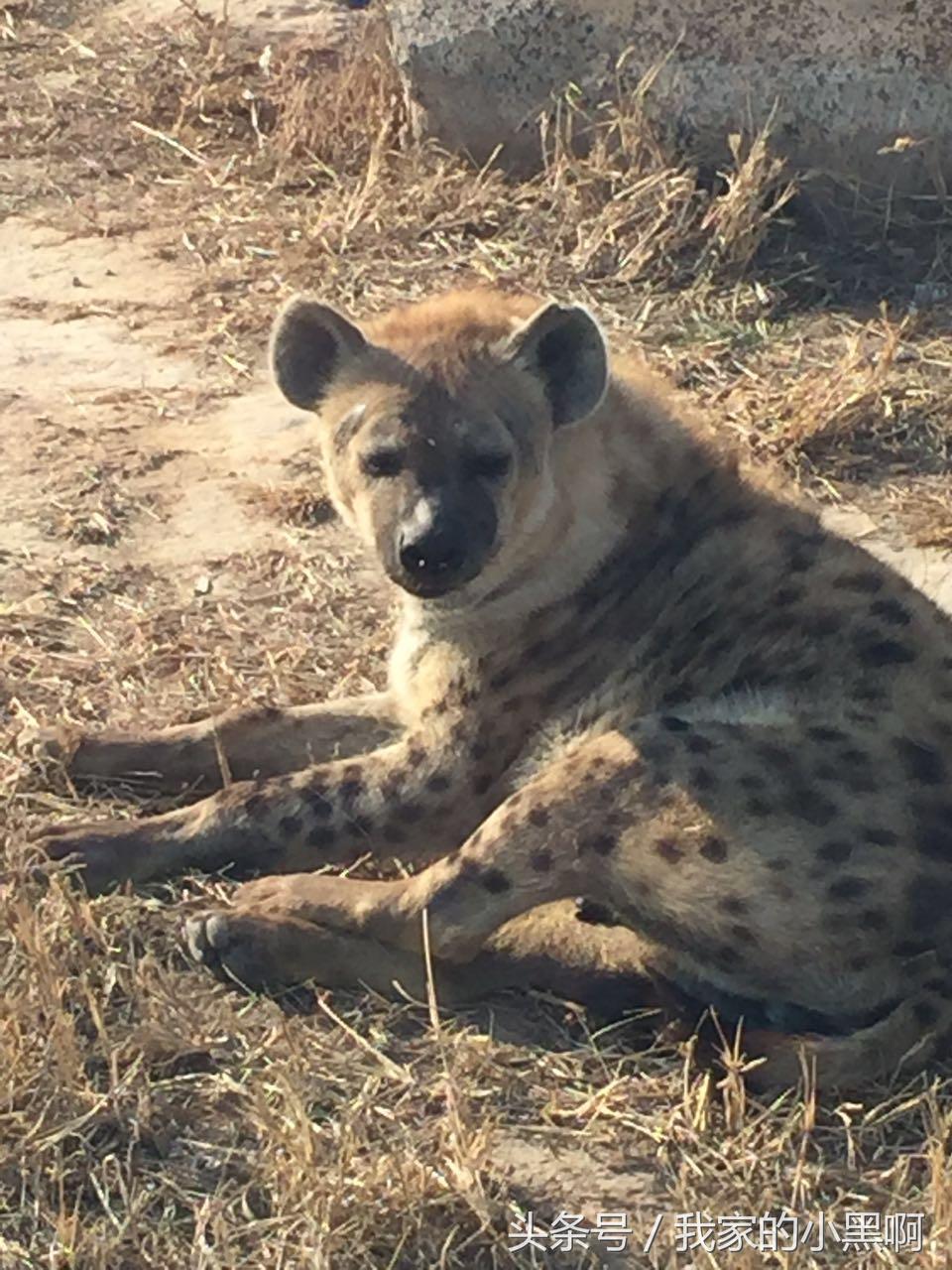 测评德州一日游,德州市动植物园一日游