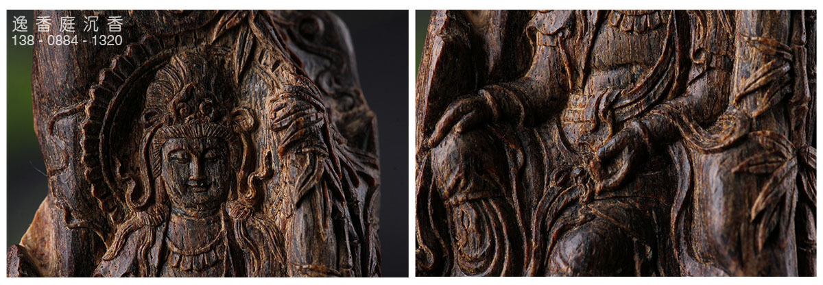 沉香树是香的吗,沉香树有几种叫法