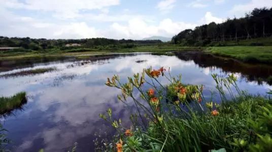 聆听|吴喜彬:《宿命里的河》——诵读:以琳