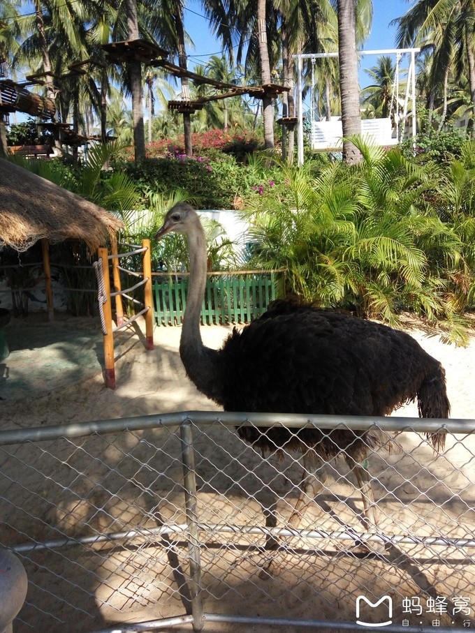 三亚旅游全攻略带孩子必玩,带小孩感受阳光与海滩